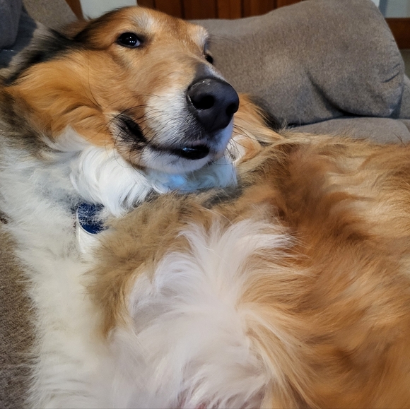 Meet the Posher Other - PLEASEreadBFbuying!